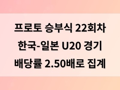 프로토 승부식 22회차 한국-일본 U20 경기 배당률 2.50배로 집계