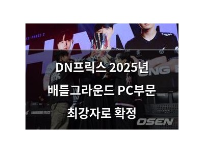 DN프릭스 2025년 배틀그라운드 PC부문 최강자로 확정