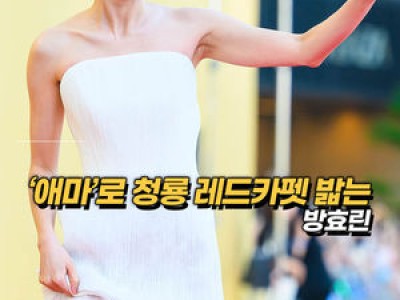청룡시리즈어워즈 레드카펫에서 이준호-김고은 등 화려한 출연