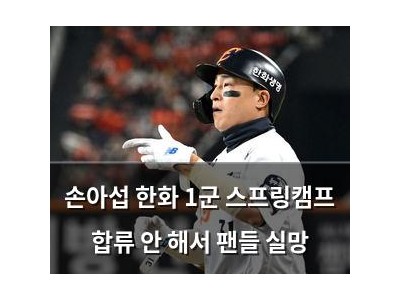 손아섭 한화 1군 스프링캠프 합류 안 해서 팬들 실망