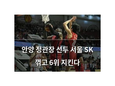 안양 정관장 선두 서울 SK 꺾고 6위 지킨다