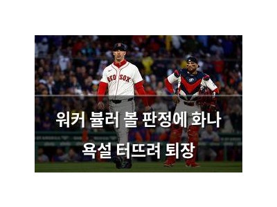 워커 뷸러 볼 판정에 화나 욕설 터뜨려 퇴장