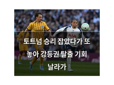 토트넘 승리 잡았다가 또 놓아 강등권 탈출 기회 날라가