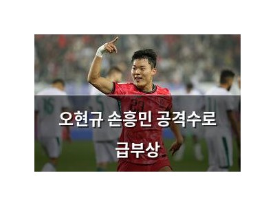오현규 손흥민 공격수로 급부상