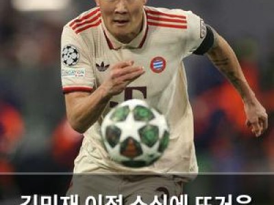 김민재 이적 소식에 뜨거운 관심