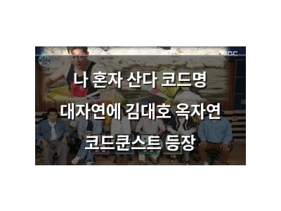 나 혼자 산다 코드명 대자연에 김대호 옥자연 코드쿤스트 등장