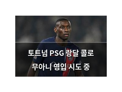 토트넘 PSG 랑달 콜로 무아니 영입 시도 중