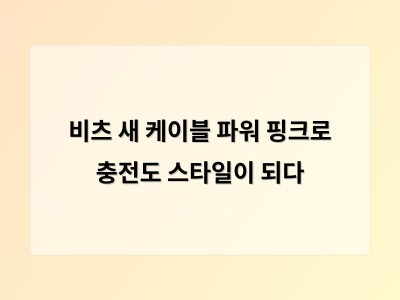 비츠 새 케이블 파워 핑크로 충전도 스타일이 되다